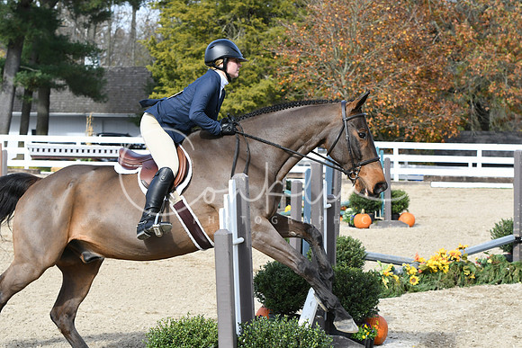 HSM_2293