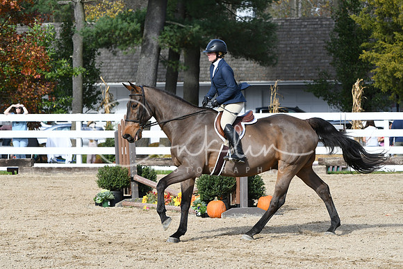 HSM_2294