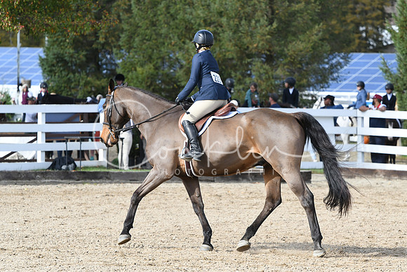 HSM_2296