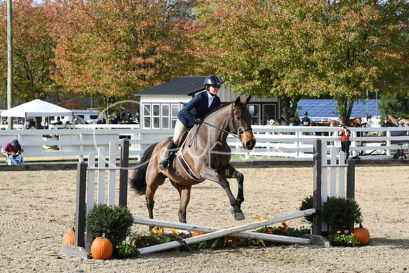 HSM_2346