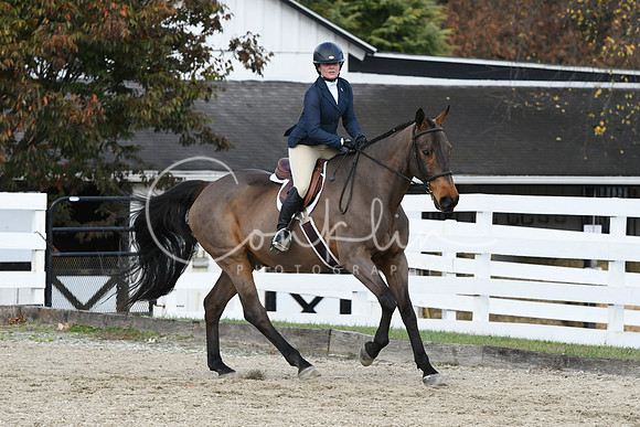 HSM_2379