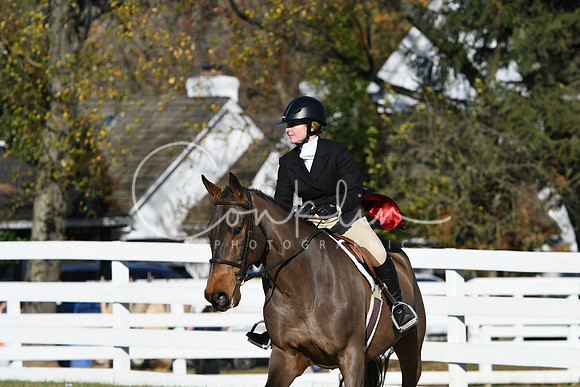 HSM_2825