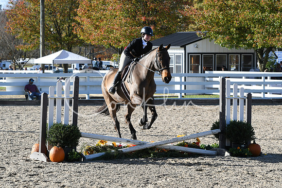 HSM_2828
