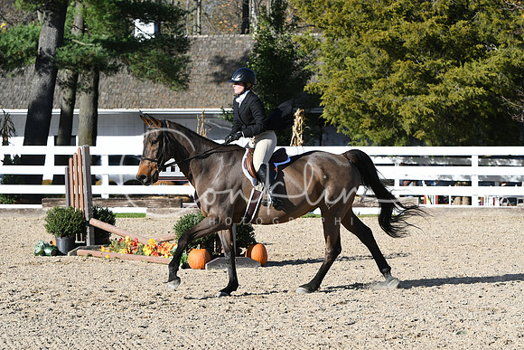 HSM_2832