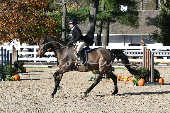 HSM_2833