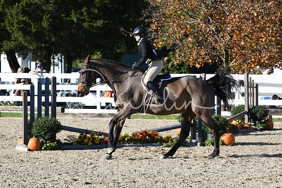 HSM_2838