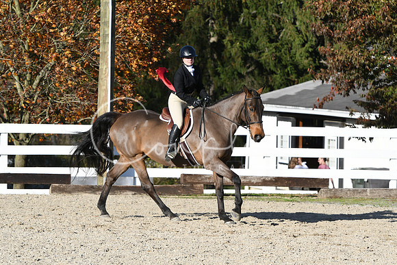 HSM_3038