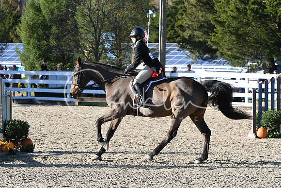 HSM_3043