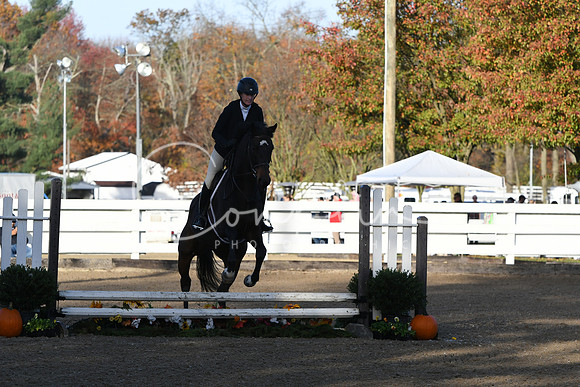 HSM_1166