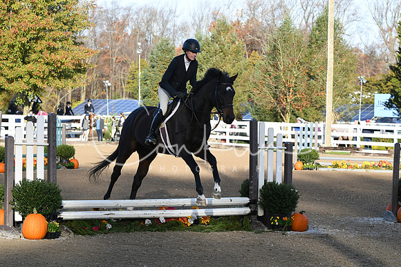 HSM_1168