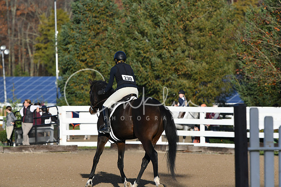HSM_1171