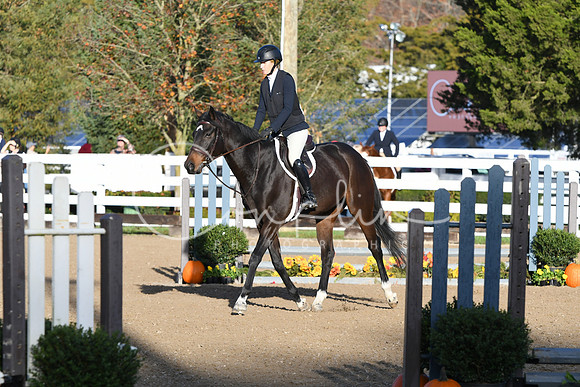 HSM_1216