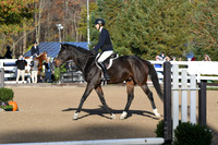 HSM_1217