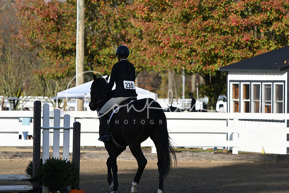 HSM_1218
