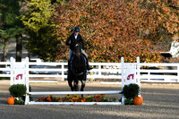 HSM_1219
