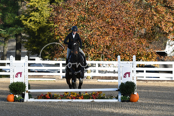 HSM_1219