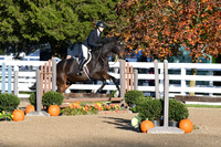HSM_1222