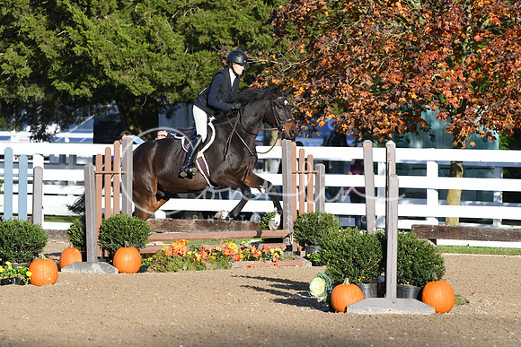 HSM_1222