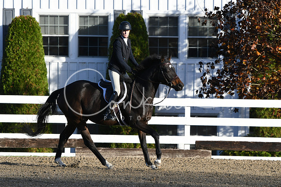 HSM_1224
