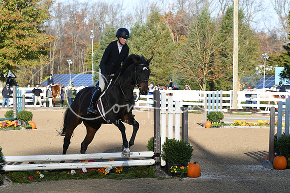 HSM_1226