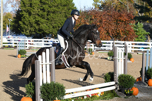 HSM_1261