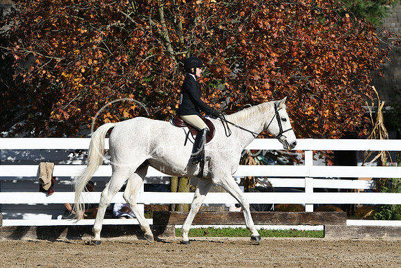 HSM_1677