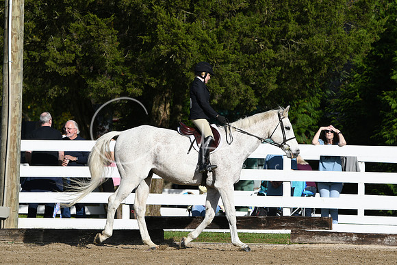 HSM_1676