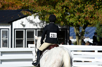 HSM_1718