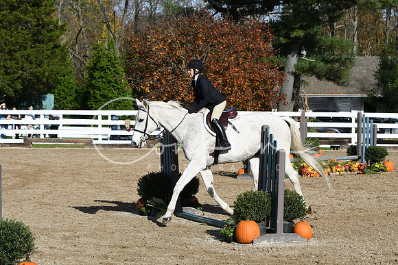 HSM_1717