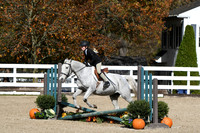 HSM_2173