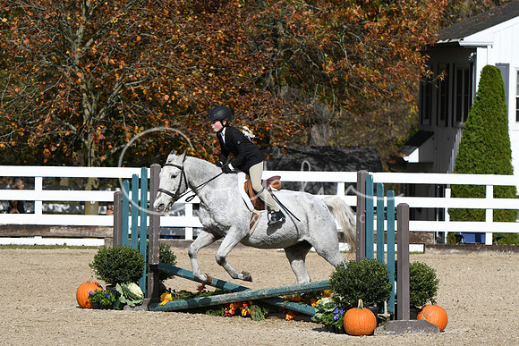 HSM_2173