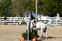 HSM_2175