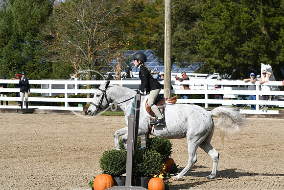 HSM_2175