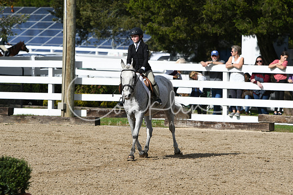HSM_2238