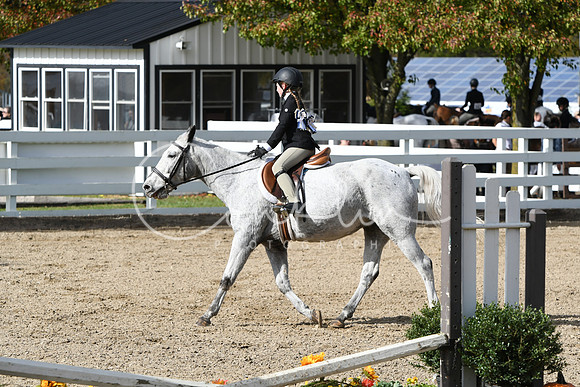 HSM_2239