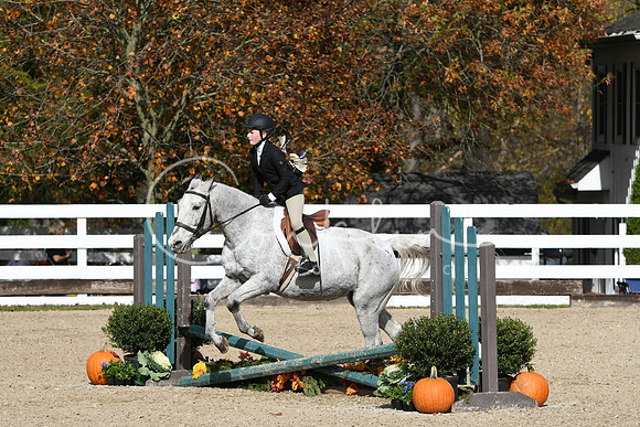 HSM_2244