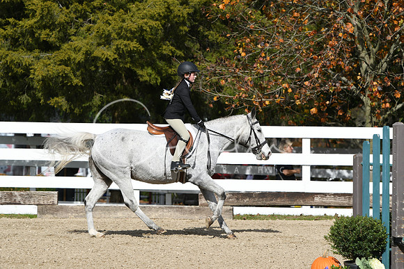 HSM_2248