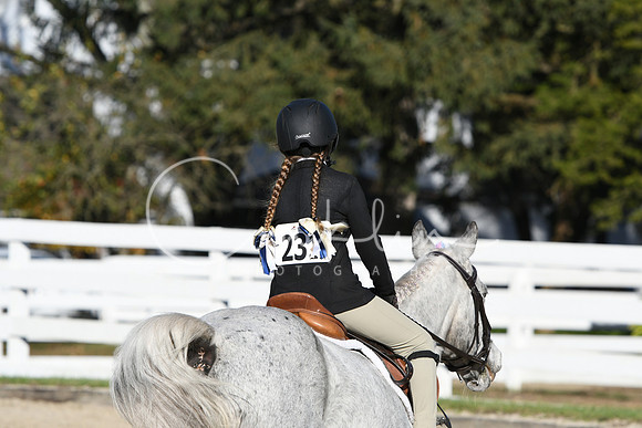 HSM_2799