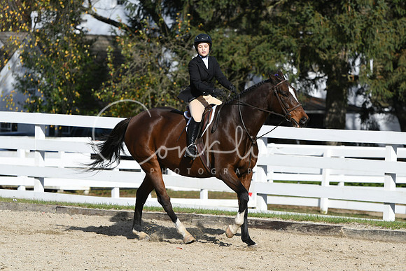 HSM_2631