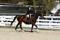 HSM_2629