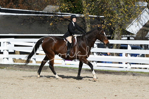 HSM_2629