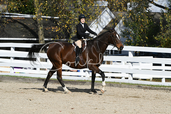 HSM_2630
