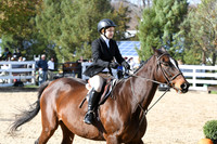 HSM_2635