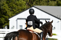 HSM_2636