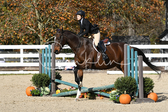 HSM_2638
