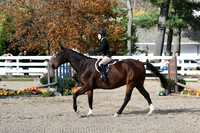 HSM_2639