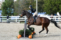 HSM_2640