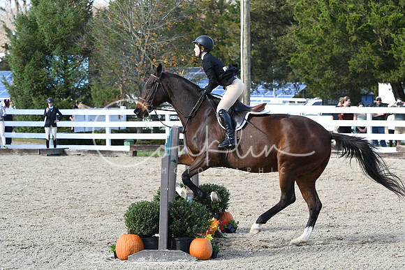 HSM_2640