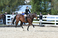 HSM_2641