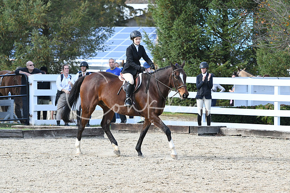 HSM_2641